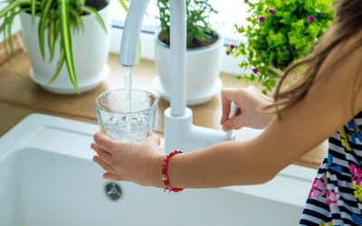 Tap Water Filter vs Whole-Home Systems: What’s the Difference?